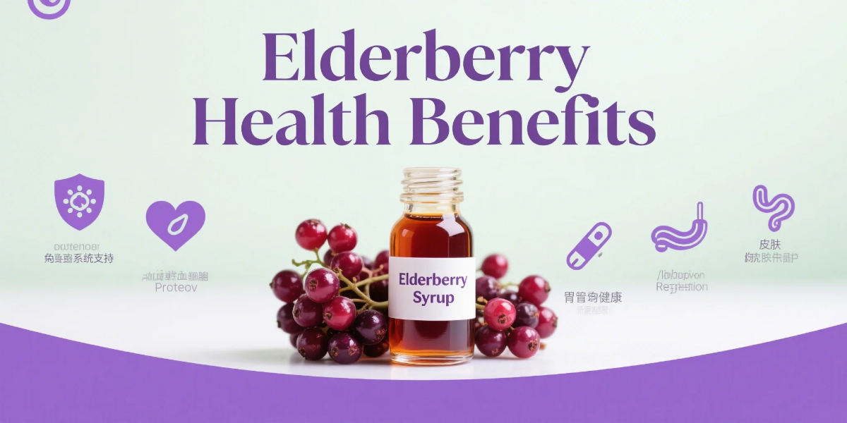 “Elderberry health benefits antioxidants syrup immune support infographic”